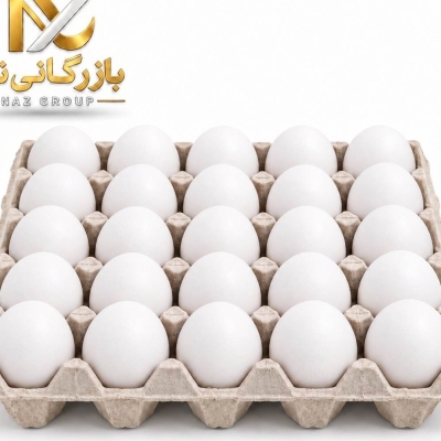 تخم مرغ با کارتن